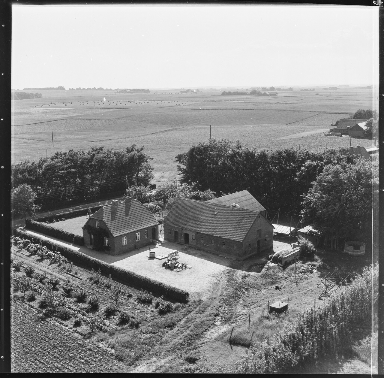 Husmandsstedet anno 1955